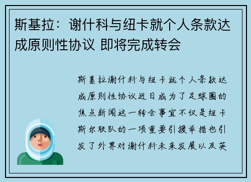 斯基拉：谢什科与纽卡就个人条款达成原则性协议 即将完成转会