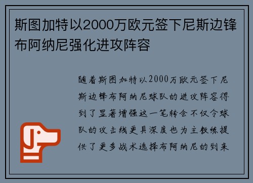 斯图加特以2000万欧元签下尼斯边锋布阿纳尼强化进攻阵容